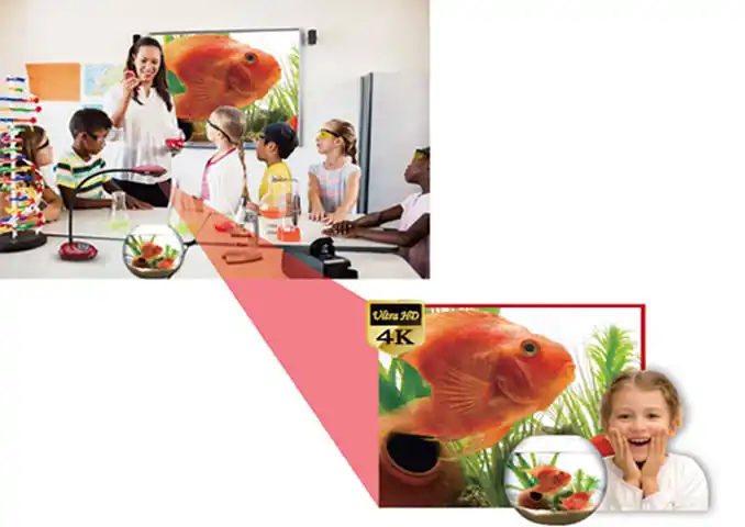 lumens dc172 document camera