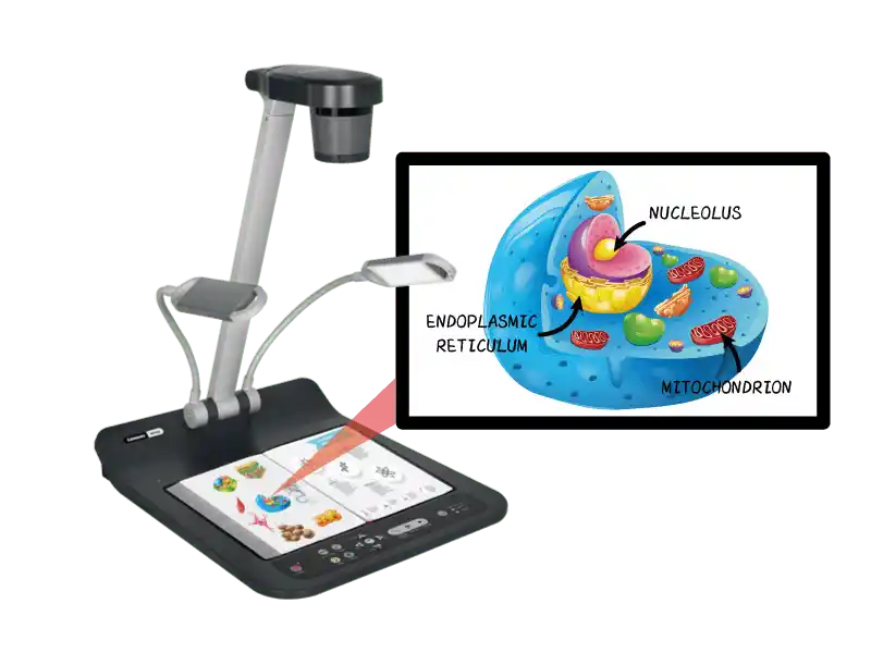 lumens ps753 desktop document camera